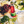 Load image into Gallery viewer, Non-Alcoholic Phony Mezcal Negroni.
